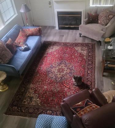 Quiet Relaxing Room
