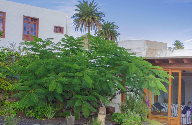 Quiet Rural House in Haría