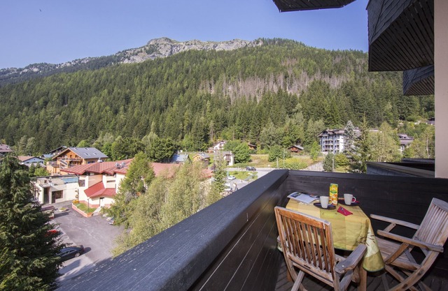 Résidence Grand Roc - Campanules 303, Argentière (Chamonix), France