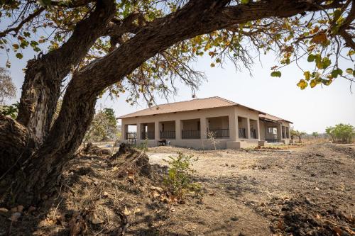 Rain Tree Camp