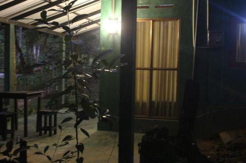 rainforest river song