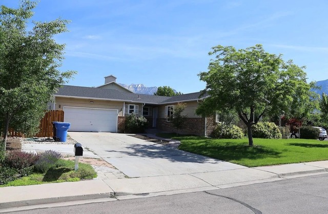 Rare Find: Private Spacious Home - Waffles too!