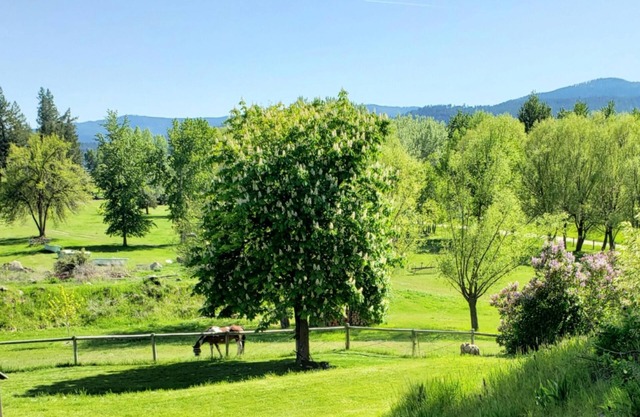 Raven's Roost-in Somers