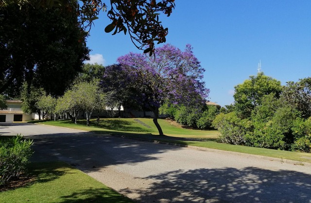 REFORMED AND VERY WELL FURNISHED HOUSES, BORDERING THE VALDERRAMA GOLF CLUB