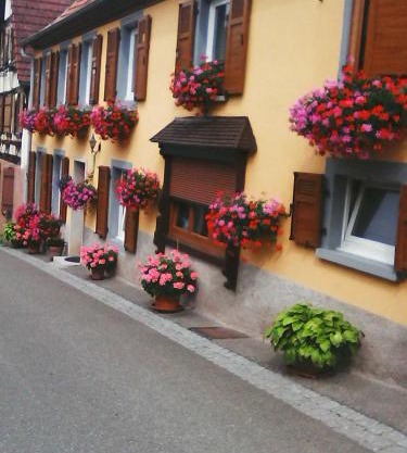 Relais de la diligence