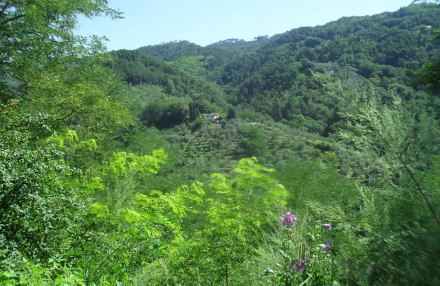 Relaxing house in the green of Tuscany