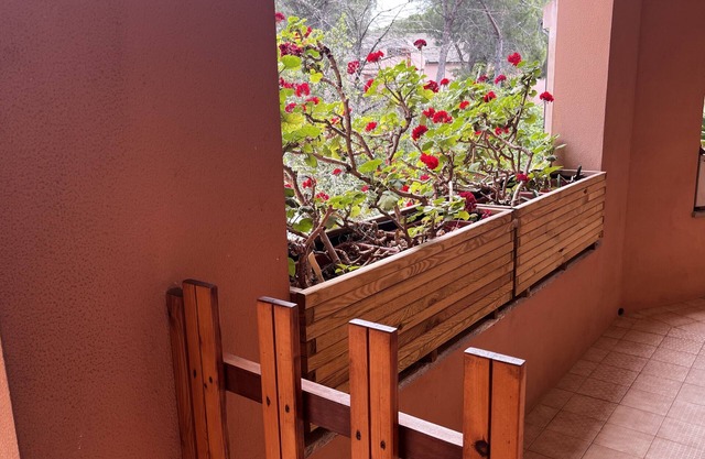 Relaxing in the pine forest near the sea