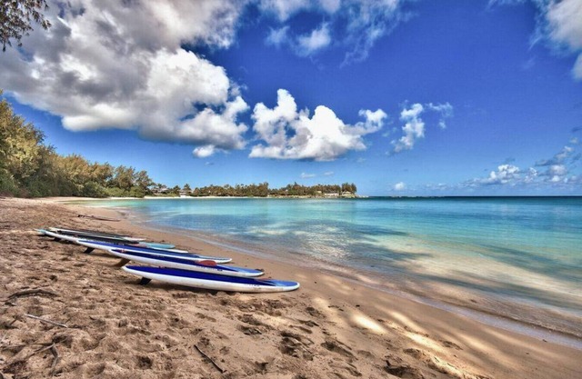 Relaxing Turtle Bay Home