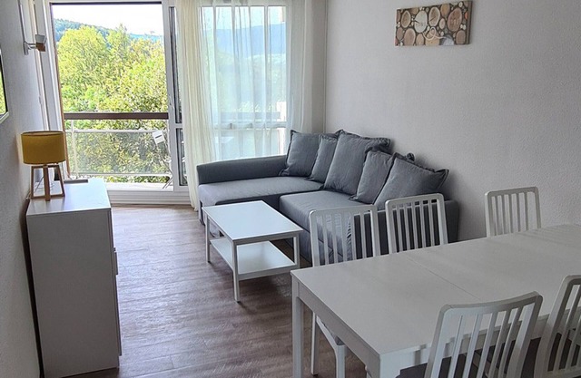 Renovated 43m² apartment with 2 balconies, free parking and Wi-Fi in Villard-de-Lans