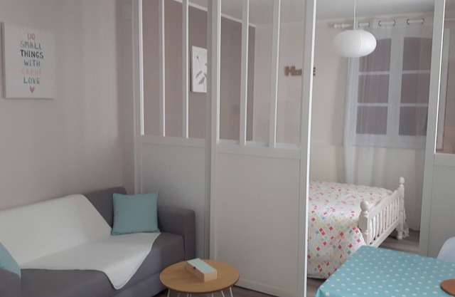 Renovated apartment downtown in rdc