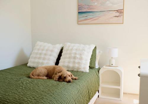 Renovated Family Retreat Pet Friendly
