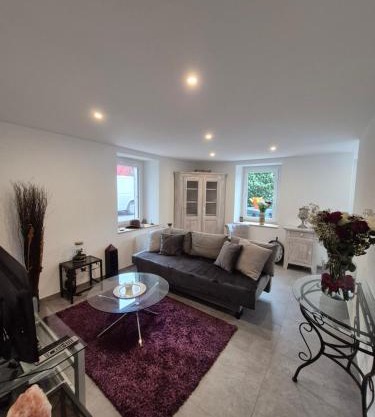 Renovated farmhouse apartment - Swiss border