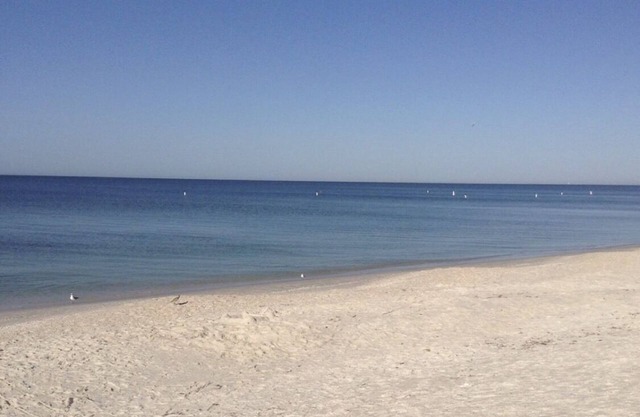 Renovated guest house. Bike to the beach! Tax, VRBO fee and $10 clean fee only.