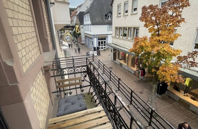 Rental-City-Private Bathroom-Balcony