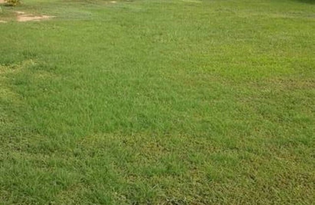 RENTAL JILYMAR CABIN. SANTANA BARÚ