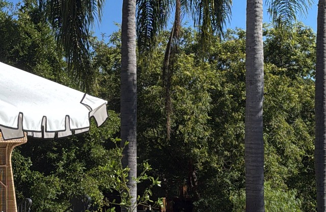 Resort with tennis, volleyball and soccer court, sauna and much fun areas