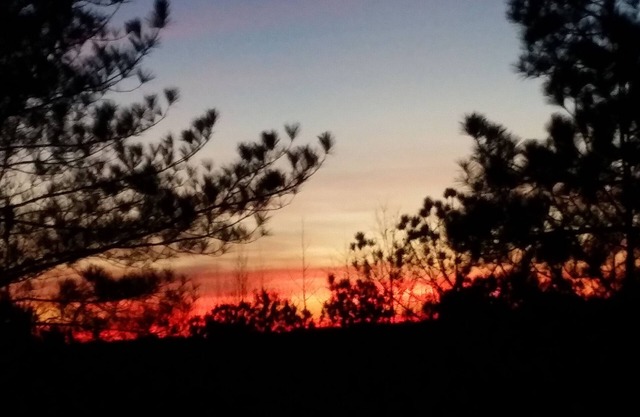 Rest-Relax-Reconnect-Renew in beautiful, serene, wooded, gated Lake Martin Cabin