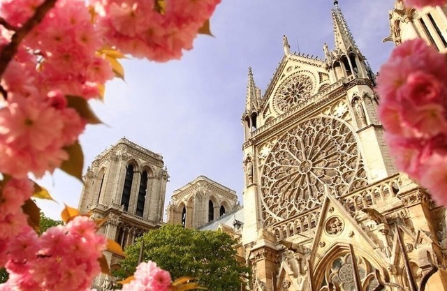 Right next to Notre Dame,Seine &Shakespeare &Co in the heart of the Latin Qtr!