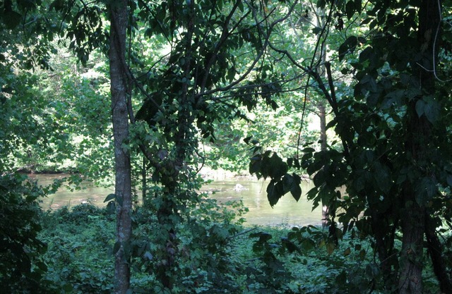 River 1 Impressions on Tellico River 1 Bedroom