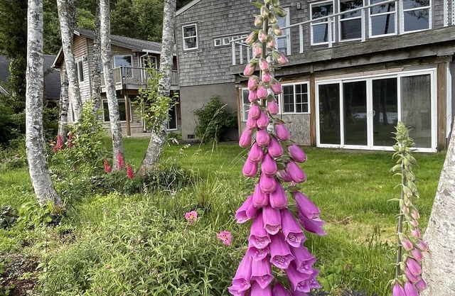 Riverfront Home with Beautiful Views