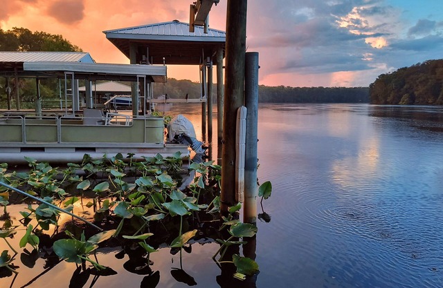 Riverfront Otter House with boat dock. 10 mins from springs, 20 from Cedar Key