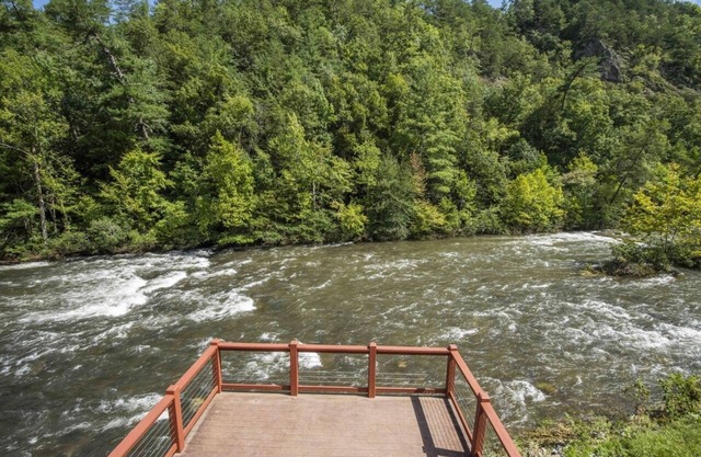 Riverside Premium Cabin