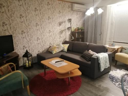 Rivitalokaksio Jäppilässä