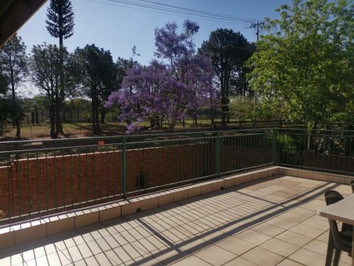 Rose Guest House