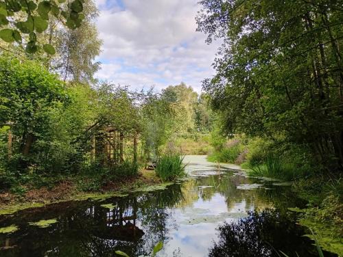 Ruim huisje op een prachtige plek