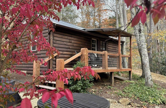 Rustic Ridge a cabin close to hiking and skiing!