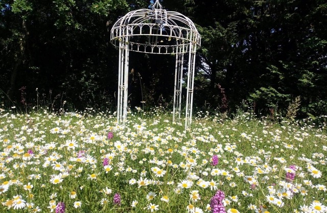 ❤ Séjour Romantique ❤ Salt Water Swimming Pool, Hydrotherapy Hottub