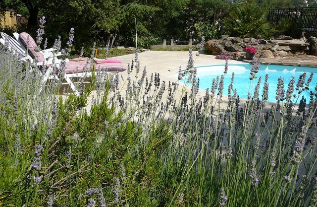 Shed beautiful Provence with pool and garden