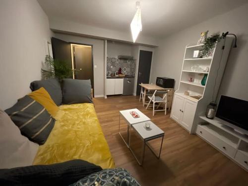 Saint-Girons, charmant studio en plein centre