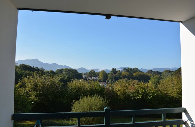 SAINT JEAN DE LUZ PLEASANT T2 TERRACE WITH RHUNE VIEW