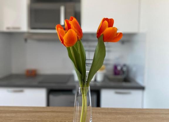 Saint-Maur Créteil - Proche Paris centre et Disney