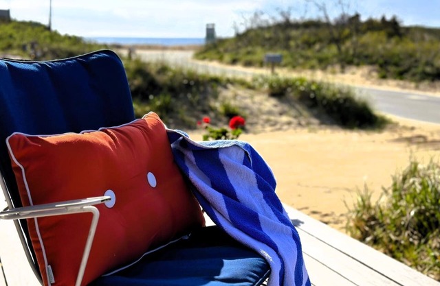 Sand Bar-Dog Friendly on Cooks Brook Beach