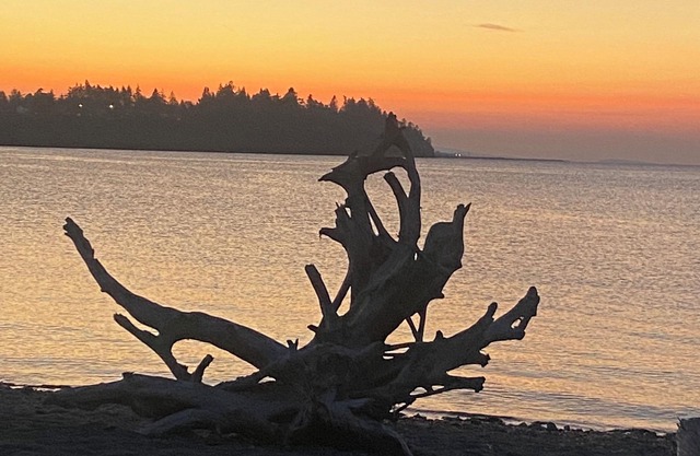 Sandy Dollar Retreat n Beachy themed carriage house in Parksville