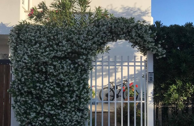 Santa Marinella House