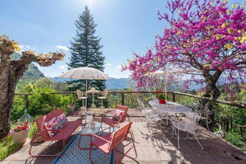 Sassi Scritti - Carpino Nero