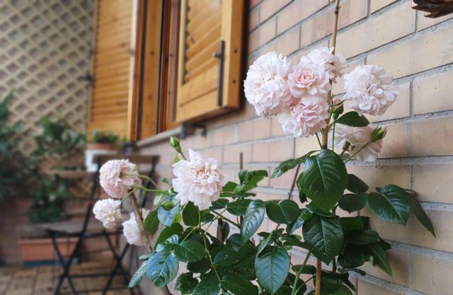 ScacciaPensieri vicino al Policlinico e al Centro città