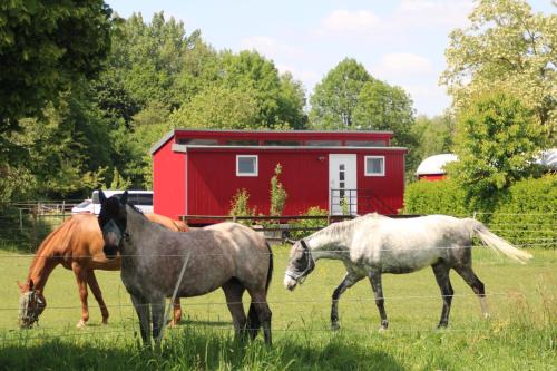 Schlafwagen Domblick Moerenhof Xanten