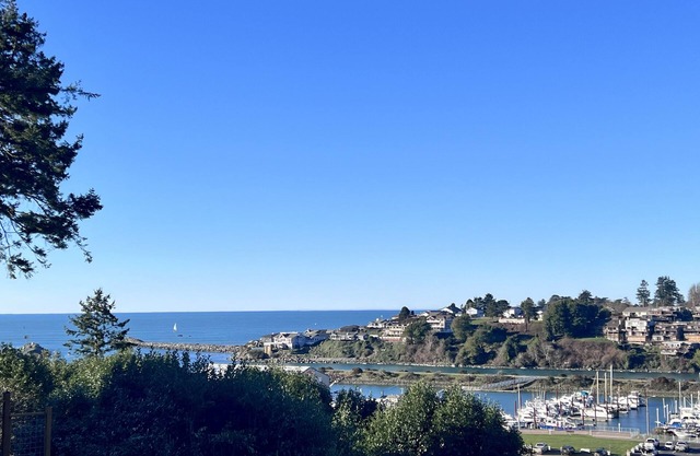 🐳🧜🏽‍♀️Sea La’VIEWS OceanHarborRiverVIEWS wHOT TUB Walk2Ocean LUXURY KingBeds+ EV+FUN