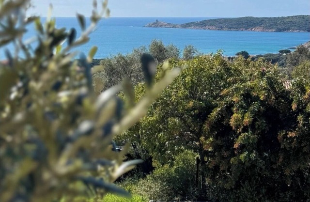 Sea view apartment Vulpaghja 2