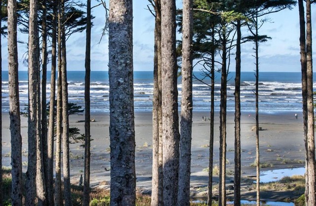Seabrook's Oceanaire offers luxury oceanview home for large groups!
