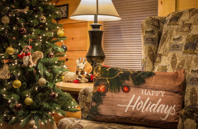 Secluded 2 Bed, Hot Tub, Pool Table, Fire Pit. Holiday Getaway!