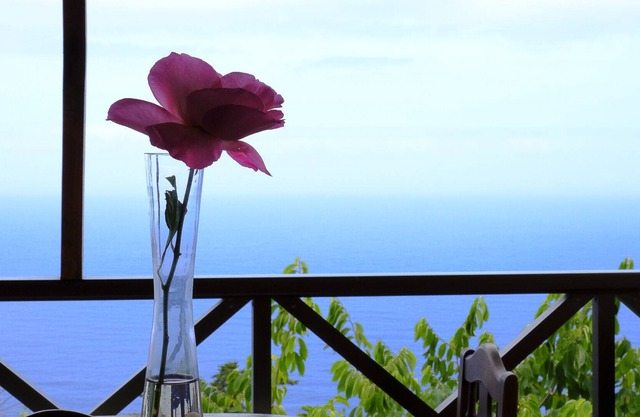 Self catering Finca El Biclén for 2 people