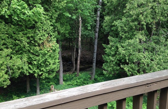 Shanty Creek Family Condo 2bd/2bth