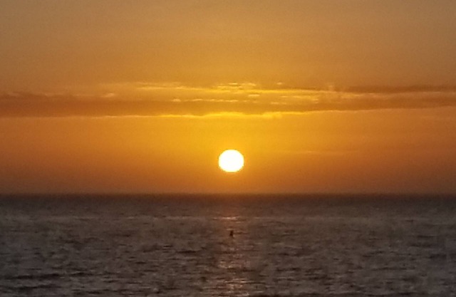 Shell Island Beach Club - All new 2 bed/2 bath condo with Beach and Gulf Views