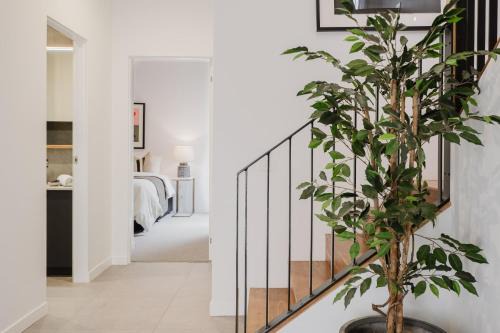 Sheppard Art House Townhouse