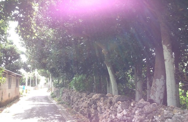 Shirahono Yado Aoiumi